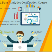 Job Oriented Data Analyst Course in Delhi.110011 . Best Online Live Data Analytics Course in Delhi NCR by IIT. [ 100% Job in MNC] 